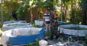 Babinsa Koramil 02/Sukakarya Tinjau Budidaya Ikan Air Tawar Bersama Warga Dukung Ketahanan Pangan Melalui Pemanfaatan Lahan Sempit