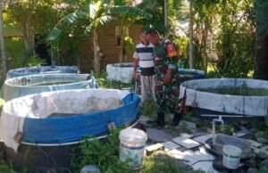 Babinsa Koramil 02/Sukakarya Tinjau Budidaya Ikan Air Tawar Bersama Warga Dukung Ketahanan Pangan Melalui Pemanfaatan Lahan Sempit