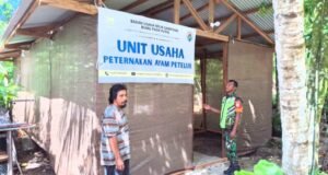 Babinsa Koramil 01/Sukajaya Tinjau Lokasi Pembuatan Kandang Ayam Petelur di Gampong Paya