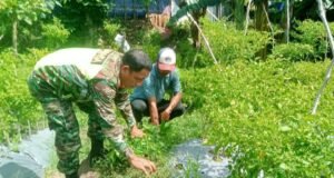 Babinsa Koramil 02/Sukakarya Bersama Warga Bersihkan Lahan Untuk Penanaman Cabai di Gampong Kuta Barat