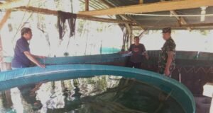 Dandim 0112/Sabang Kunjungi Tempat Budidaya Ikan Nila di Gampong Anoi Itam
