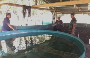 Dandim 0112/Sabang Kunjungi Tempat Budidaya Ikan Nila di Gampong Anoi Itam