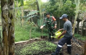 Dukung Ketahanan Pangan, Babinsa Koramil 02/Sukakarya Pantau Langsung Lahan Pertanian Warga Binaan