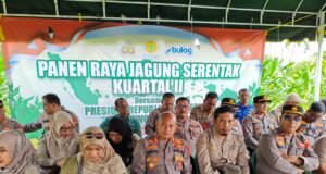 Kapolres Sabang Hadiri Panen Raya Jagung Kuartal II di Batee Shoek