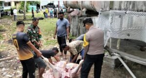 Babinsa Koramil 02/Sukakarya Bantu Penyembelihan Hewan Kurban di Gampong Kuta Timu