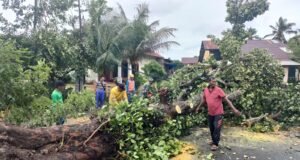 Babinsa Gampong Kuta Ateuh Bersama BPBD, dan Warga Lakukan Pembersihan Pohon Tumbang