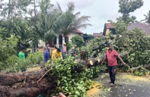 Babinsa Gampong Kuta Ateuh Bersama BPBD, dan Warga Lakukan Pembersihan Pohon Tumbang