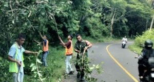 Babinsa Koramil 02/Suka Karya Bersama Anggota SKPD Provinsi Aceh dan Warga Laksanakan Pembersihan Pohon Tumbang di Krueng Raya