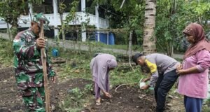 Babinsa Gampong Koramil 02/Sukakarya Bersama Bhabinkamtibmas dan PPL Dukung Kelompok Tani Tanam Jagung Manis di Jurong Ketapang
