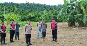 Polres Sabang Tanam Jagung di Batee Shoek, Dukung Ketahanan Pangan Nasional