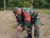 Babinsa Koramil 02/Sukakarya Dukung Warga Kembangkan Budidaya Tanaman Nilam