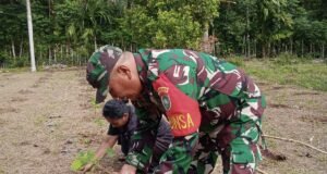 Babinsa Koramil 02/Sukakarya Dukung Warga Kembangkan Budidaya Tanaman Nilam