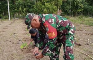 Babinsa Koramil 02/Sukakarya Dukung Warga Kembangkan Budidaya Tanaman Nilam