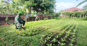 Babinsa Koramil 02/Sukakarya Pantau Ketahanan Pangan Warga di Gampong Kuta Ateuh