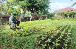 Babinsa Koramil 02/Sukakarya Pantau Ketahanan Pangan Warga di Gampong Kuta Ateuh