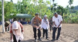 Penanaman Jagung Serentak Kuartal III di Lahan Perhutanan Sosial