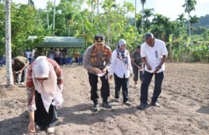 Penanaman Jagung Serentak Kuartal III di Lahan Perhutanan Sosial