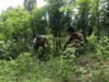 Babinsa Koramil 01/Sukajaya Bersama Petani Bersihkan Kebun di Gampong Keuneukai