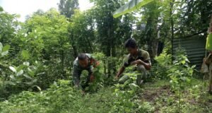 Babinsa Koramil 01/Sukajaya Bersama Petani Bersihkan Kebun di Gampong Keuneukai