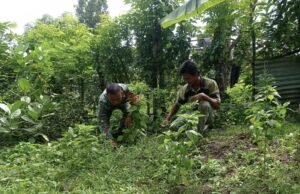 Babinsa Koramil 01/Sukajaya Bersama Petani Bersihkan Kebun di Gampong Keuneukai