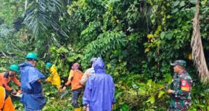 Pohon Tumbang Akibat Hujan dan Angin Kencang, Babinsa dan Tim BPBD Sigap Bersihkan Jalan di Gampong Kuta Timu