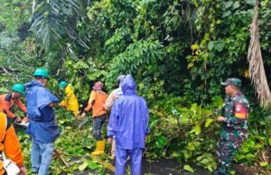 Pohon Tumbang Akibat Hujan dan Angin Kencang, Babinsa dan Tim BPBD Sigap Bersihkan Jalan di Gampong Kuta Timu