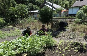 Babinsa Koramil 02/Sukakarya Dampingi Petani Sayur di Gampong Paya Seunara