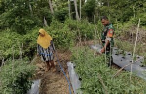 Babinsa Koramil 01/Sukajaya Ajak Warga Cot Ba’U Manfaatkan Lahan Kosong Demi Ketahanan Pangan