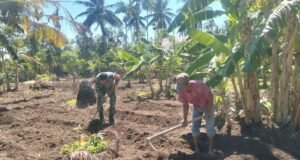 Babinsa Koramil 01/Sukajaya Bantu Petani Siapkan Lahan Tanam Cabai di Jurong Teupin Bada