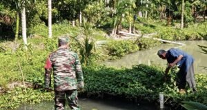 Babinsa Koramil 02/Sukakarya Dukung Pengembangan Budidaya Ikan Lele dan Nila di Sukamakmue