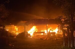 Kebakaran Hanguskan Panglong Kayu di Cot Ba’u, Polres Sabang, Damkar dan Warga Bahu Membahu Padamkan Api