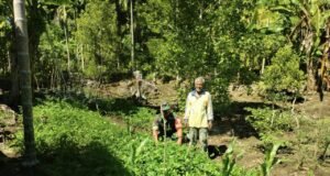 Babinsa Koramil 02/Sukakarya Dampingi Petani Sayur di Krueng Raya, Dukung Ketahanan Pangan dan Ekonomi Warga
