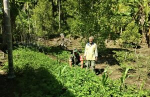 Babinsa Koramil 02/Sukakarya Dampingi Petani Sayur di Krueng Raya, Dukung Ketahanan Pangan dan Ekonomi Warga