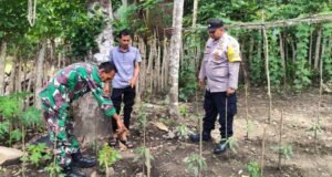 Turun ke Ladang, Babinsa Koramil 01/Sukajaya Bersama Bhabinkamtibmas Dorong Swasembada Pangan Warga