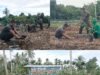 Kodim 0112/Sabang Laksanakan Penanaman Pohon, Bersatu dengan Alam untuk NKRI