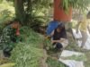 Babinsa Koramil 01/Sukajaya Bantu Petani Panen Kangkung, Wujud Nyata Kepedulian TNI pada Ketahanan Pangan