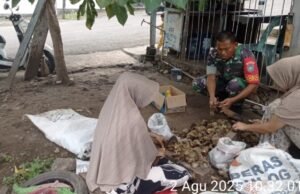 Kupas Pinang Bersama Warga, Babinsa Koramil 01/Sukajaya Jalin Keakraban dan Kedekatan