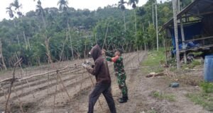 Babinsa Koramil 02/Sukakarya Bantu Petani Pasang Penyangga Tanaman Kacang Panjang di Gampong Batee Shoek