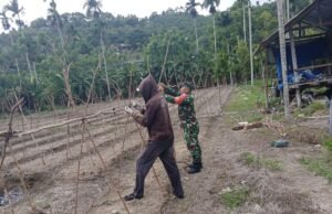 Babinsa Koramil 02/Sukakarya Bantu Petani Pasang Penyangga Tanaman Kacang Panjang di Gampong Batee Shoek
