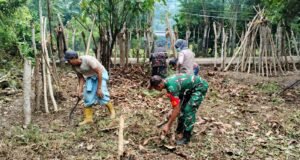 Babinsa Koramil 01/Sukajaya Dampingi Kelompok Tani Gamawar Gampong Jaboi