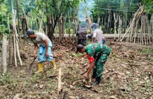 Babinsa Koramil 01/Sukajaya Dampingi Kelompok Tani Gamawar Gampong Jaboi