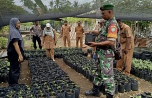 Babinsa Koramil 01/Sukajaya Dukung Kelompok Tani Cot Ba’U Tingkatkan Produktivitas Lahan Pertanian