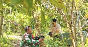 Babinsa Koramil 02/Sukakarya Dampingi Warga Cek Bibit Durian, Dorong Kemandirian Pangan Keluarga