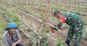 Babinsa Koramil 02/Sukakarya Hadir di Tengah Petani, Perkuat Kemanunggalan TNI-Rakyat