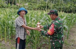 Babinsa Koramil 02/Sukakarya Dukung Program Ketahanan Pangan, Sambangi Petani Jagung di Batee Shoek
