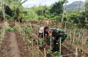 Babinsa Koramil 02/Sukakarya Bantu Warga Bersihkan Lahan Cabai, Tingkatkan Ketahanan Pangan Wilayah