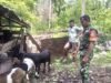 Babinsa Koramil 01/Sukajaya Ajak Peternak Kambing Jaga Kesehatan Ternak