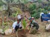 Koramil 01/Sukajaya Dukung Penanaman Bibit Kelapa Serentak untuk Ketahanan Pangan Nasional