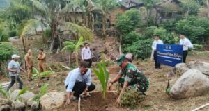 Koramil 01/Sukajaya Dukung Penanaman Bibit Kelapa Serentak untuk Ketahanan Pangan Nasional