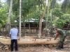 Babinsa Koramil 01/Sukajaya Bantu Warga Bangun Perahu Tradisional untuk Dukung Perekonomian Nelayan